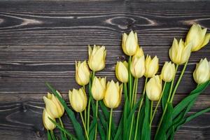 Tapeta žluté tulipány na dřevěném podkladu - 375x250 cm