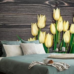 Tapeta žluté tulipány na dřevěném podkladu - 450x300 cm