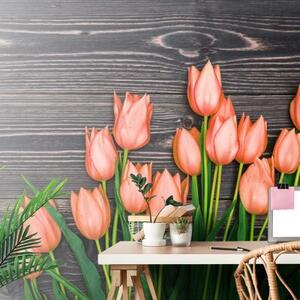 Samolepící fototapeta oranžové tulipány na dřevěném podkladu - 300x200 cm