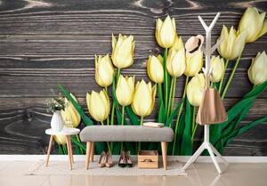 Tapeta žluté tulipány na dřevěném podkladu - 375x250 cm