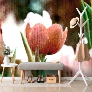 Samolepící tapeta louka tulipánů v retro stylu - 450x300 cm