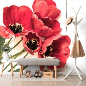 Samolepící fototapeta rozkvetlé červené tulipány - 300x200 cm
