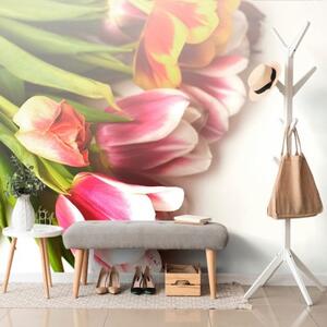 Samolepící fototapeta kytice tulipánů - 300x200 cm