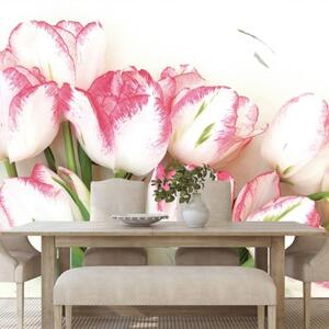 Samolepící fototapeta jarní tulipány - 225x150 cm