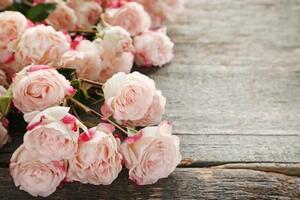 Tapeta nádherné romantické růže - 225x150 cm