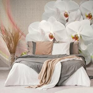 Samolepící tapeta bílá orchidej na plátně - 225x150 cm