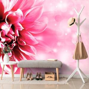 Samolepící tapeta růžový květ - 225x150 cm