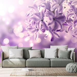 Samolepící tapeta fialový květ šeříku - 450x300 cm