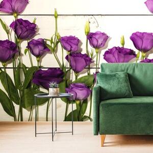 Tapeta nádherné fialové květiny - 375x250 cm