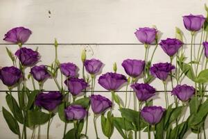Tapeta nádherné fialové květiny - 300x200 cm