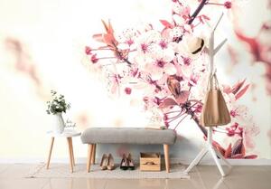 Tapeta krásné růžové květy třešně - 300x200 cm