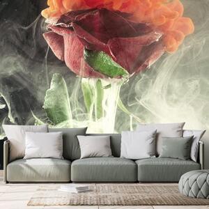 Samolepící tapeta růže s abstraktními prvky - 300x200 cm