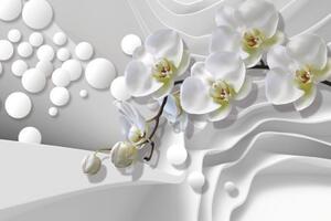 Tapeta orchidej na abstraktním pozadí - 150x100 cm