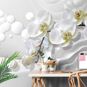 Tapeta orchidej na abstraktním pozadí - 300x200 cm