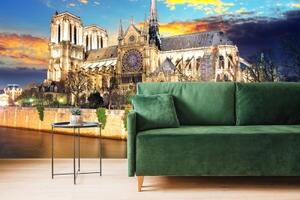 Fototapeta katedrála Notre Dame - 300x200 cm