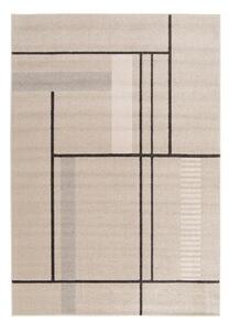 Béžový koberec 120x170 cm Domus – Universal