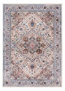 Koberec 80x150 cm Class – Universal