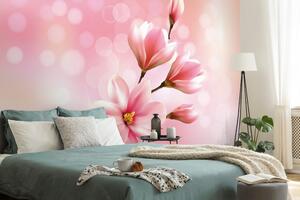 Samolepící tapeta něžná růžová magnolie