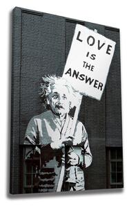 Wallity Obraz na plátně Einstein WY32 50x70 cm