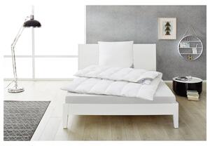 Balette Kazetová přikrývka z prachového peří Premium Selection (střední, 140 x 200 cm) (100397913002)