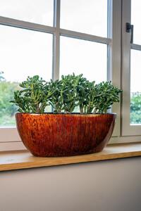 Ter Steege Váza široká Niene mahogany D59x26 H35
