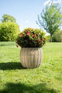 Ter Steege Sada 3 obalů Jet natural D55 H46