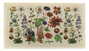 Rohožka 40x70 cm Botanicals – Artsy Doormats