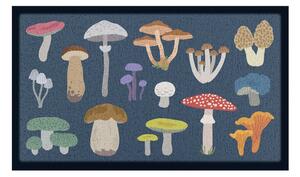 Rohožka 40x70 cm Mixed Wild Mushroom – Artsy Doormats