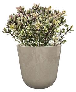 Ter Steege Květináč Palermo marble clay D13 H12
