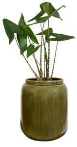 Ter Steege Váza Nine olive green D25 H29