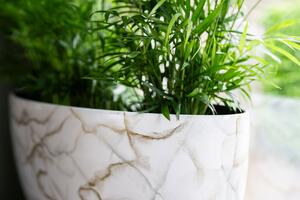 Ter Steege Váza široká Niene marble white D59x26 H35