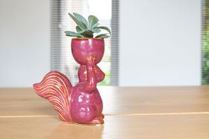 Ter Steege Obal veverka Vivi cherry D10x15 H20