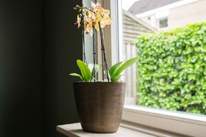 Ter Steege Váza široká Norell chestnut D29x15 H26
