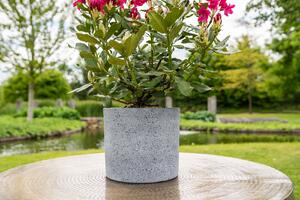 Ter Steege Sada 4 květináčů Nami concrete D37 H33