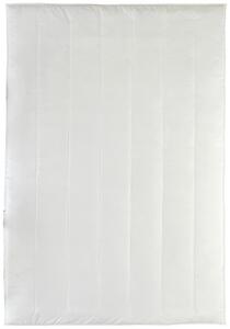 CELOROČNÍ PŘIKRÝVKA, 135/200 cm, Centa-Star - Přikrývky, Online Only