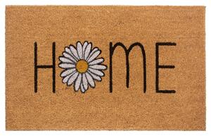 Hanse Home Collection koberce Rohožka Home 105580 - na ven i na doma - 45x75 cm
