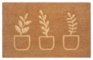Hanse Home Collection koberce Rohožka Rostliny 105562 - na ven i na doma - 45x75 cm