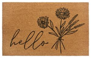 Hanse Home Rohožka Hello 105569 - na ven i na doma - 45x75 cm