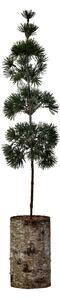 Umělý stromek Pine Green 60 cm
