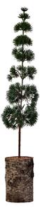 Umělý stromek Pine Green 80 cm