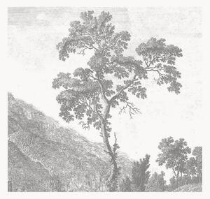 Tapeta Engraved Landscapes I