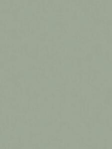A.S. Création | Vliesová tapeta na zeď Elite of Shades 78659-2 | 1,06 x 10,05 m | zelená