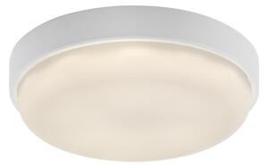 Rabalux 77224 - LED Venkovní stropní svítidlo HORT2 LED/14W/230V IP54 bílá