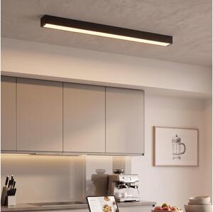 LED Přisazený/lustr na lanku LED/44W/230V 3000K 120 cm černá