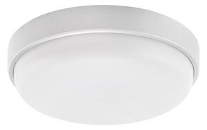 Rabalux 77224 - LED Venkovní stropní svítidlo HORT2 LED/14W/230V IP54 bílá