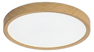 Rabalux MAUREC LED venkovní stropní svítidlo 75082