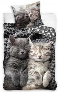 Bavlněné povlečení fototisk s motivem dvou roztomilých koťátek. Laděné do šedé barvy. Potěší všechny milovníky koťátek. Rozměr povlečení je 140x200, 70x90 cm