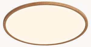 Stmívatelné stropní LED svítidlo Oja