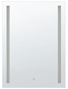 LED koupelnové zrcadlo MARTINET 60 cm 80 cm Stříbrná