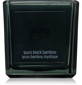 Ipuro Essentials Black Bamboo vonná svíčka 125 g